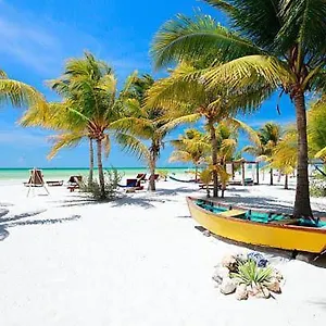 Balam , Isla Holbox Mexico